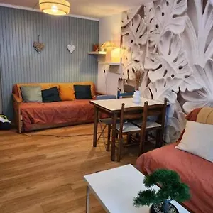 6 Couchages Pied De Pistes Appartement